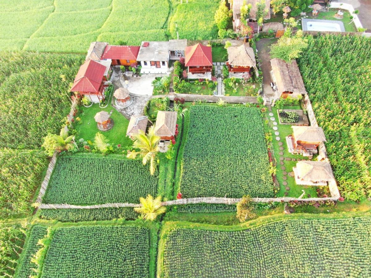 Pondok Indah Bungalows 特特巴图 外观 照片