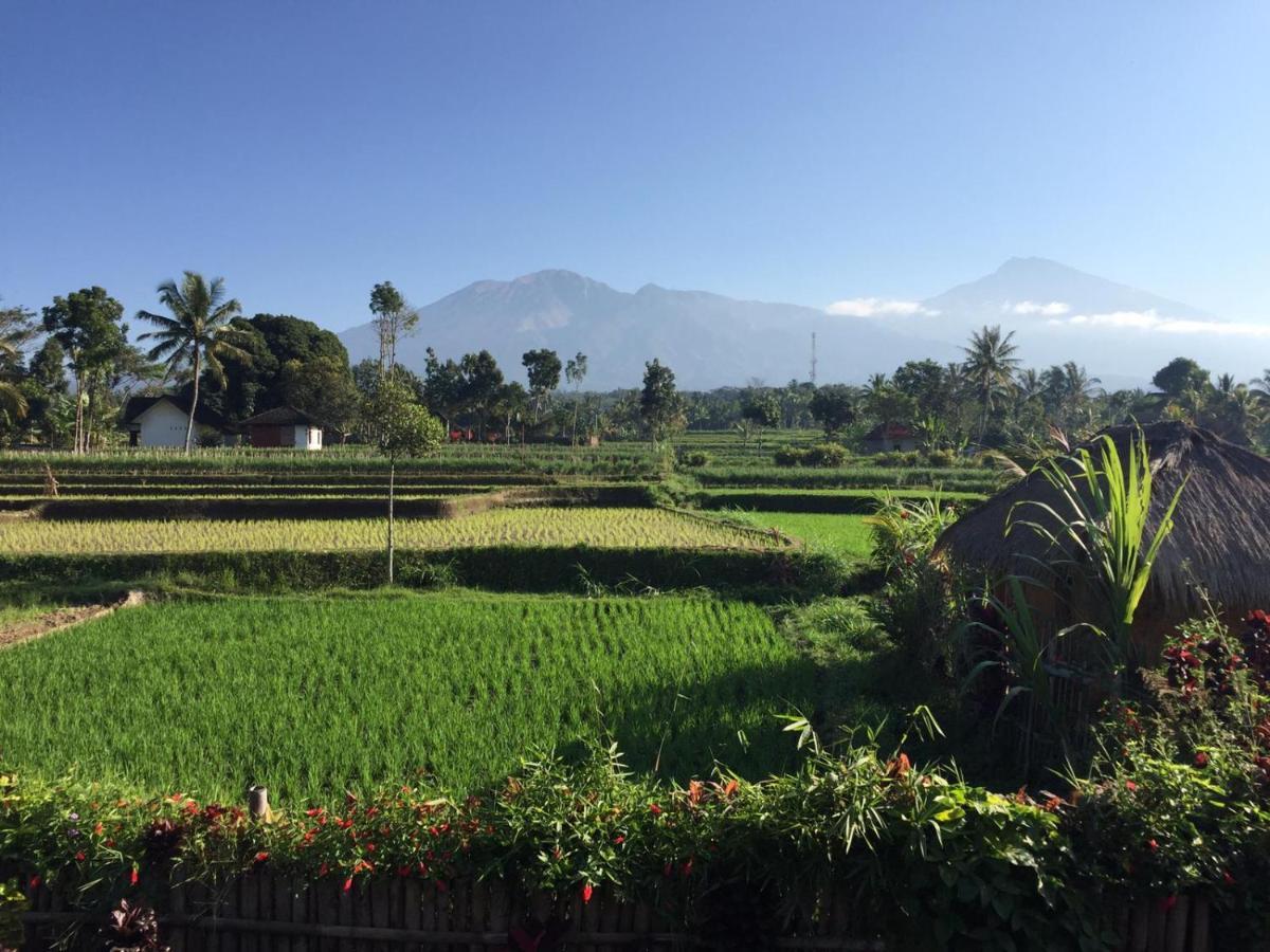 Pondok Indah Bungalows 特特巴图 外观 照片