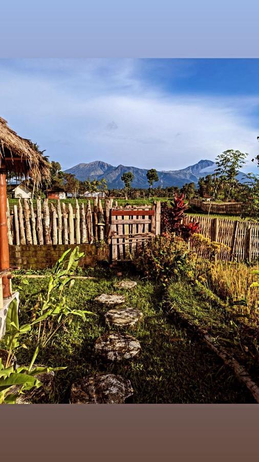 Pondok Indah Bungalows 特特巴图 外观 照片