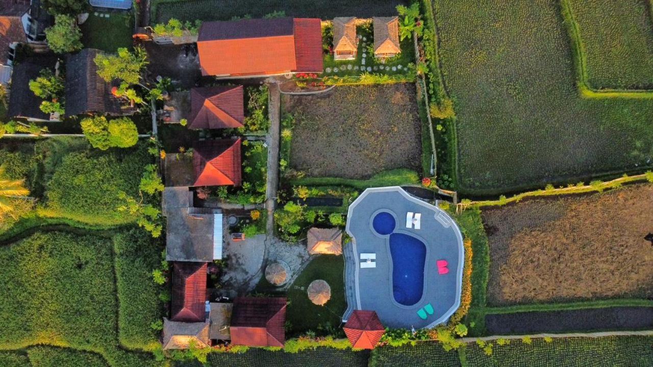 Pondok Indah Bungalows 特特巴图 外观 照片