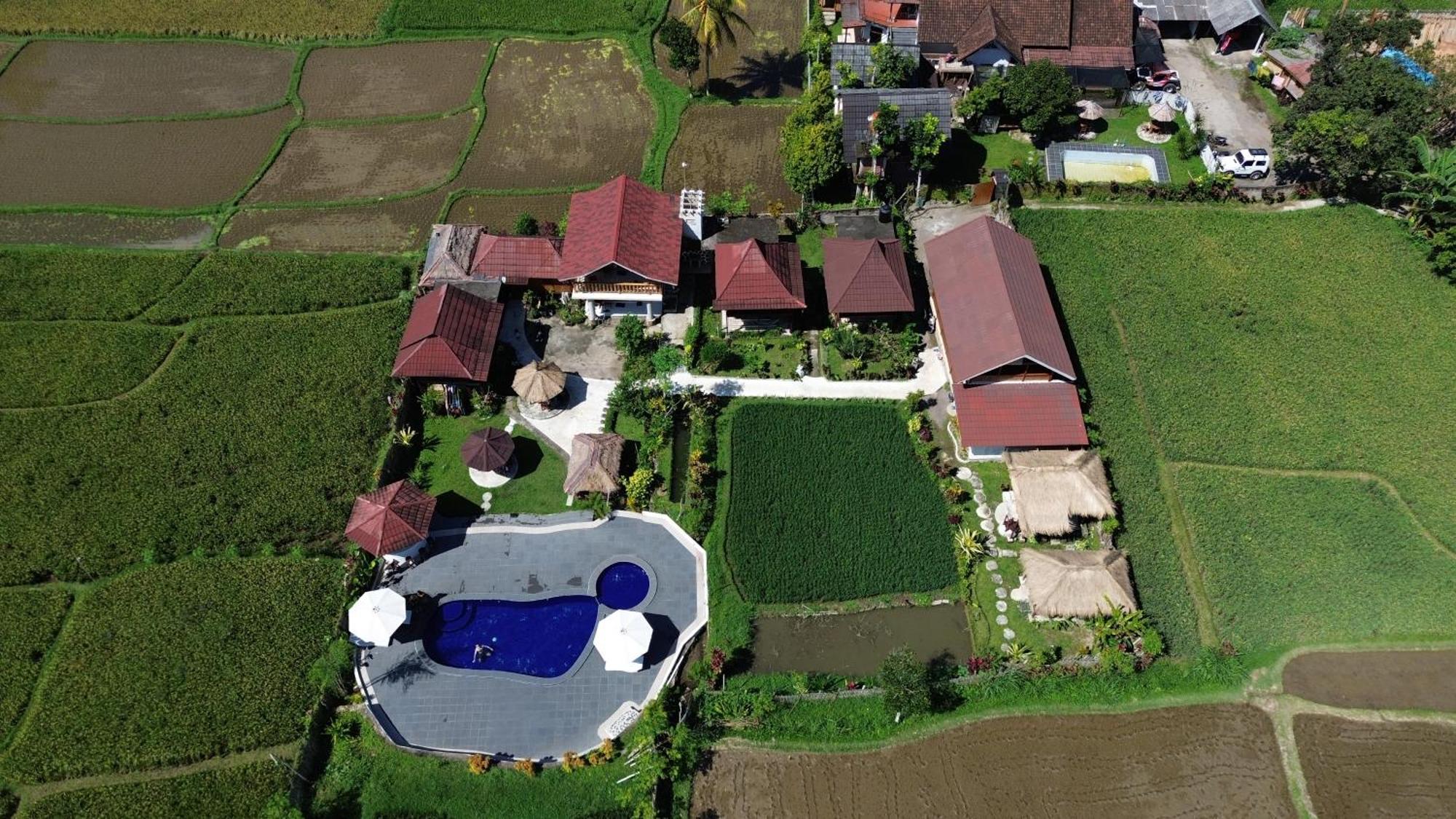 Pondok Indah Bungalows 特特巴图 外观 照片