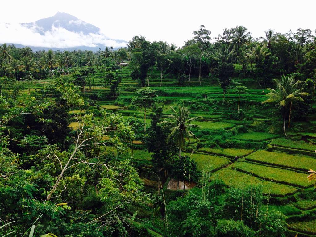 Pondok Indah Bungalows 特特巴图 外观 照片