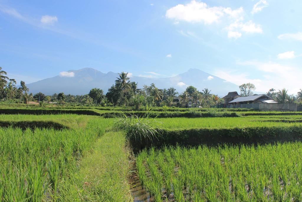Pondok Indah Bungalows 特特巴图 外观 照片