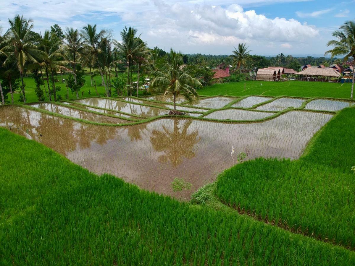 Pondok Indah Bungalows 特特巴图 外观 照片
